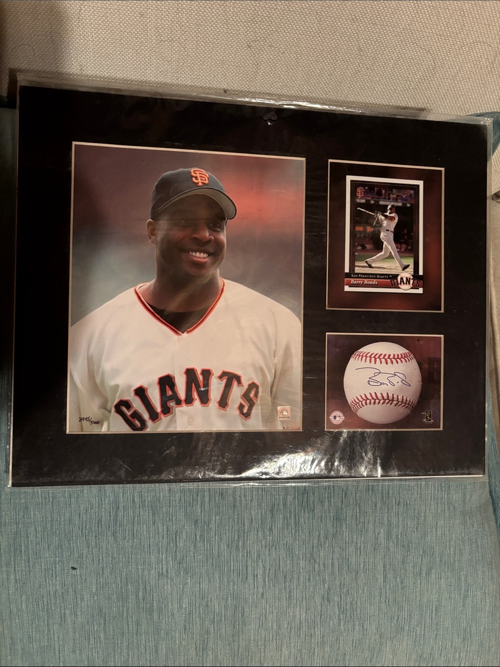 Barry Bonds Framed Photo and Memorabilia Display - Toon Collectible